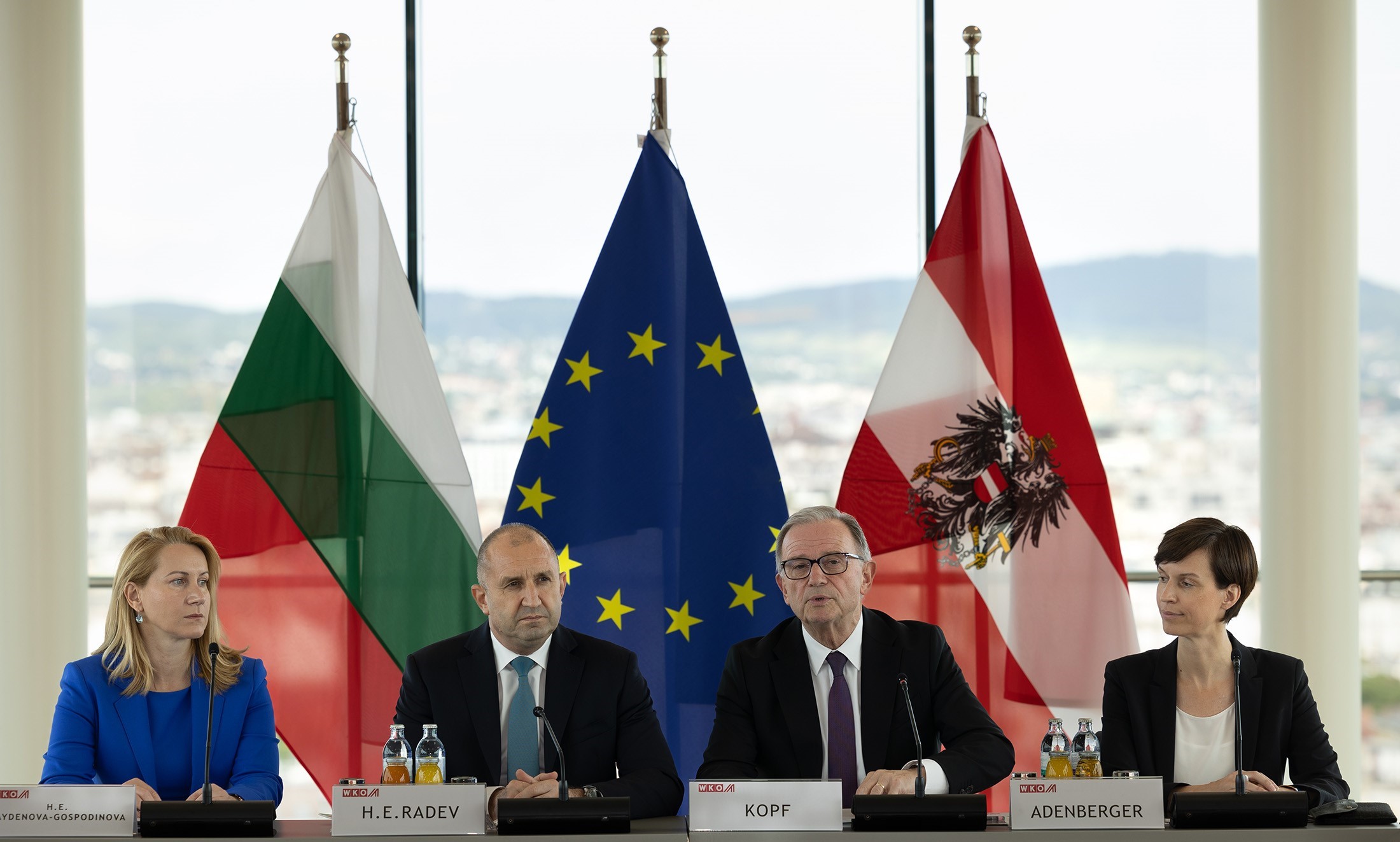 Българският президент Румен Радев бе на посещение в Австрия по покана на федералния канцлер на Австрия Карл Нехамер