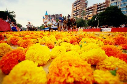 Последната неделя на месец юли алеята „Аламеда“ във Валенсия се оцвети в жълто и оранжево