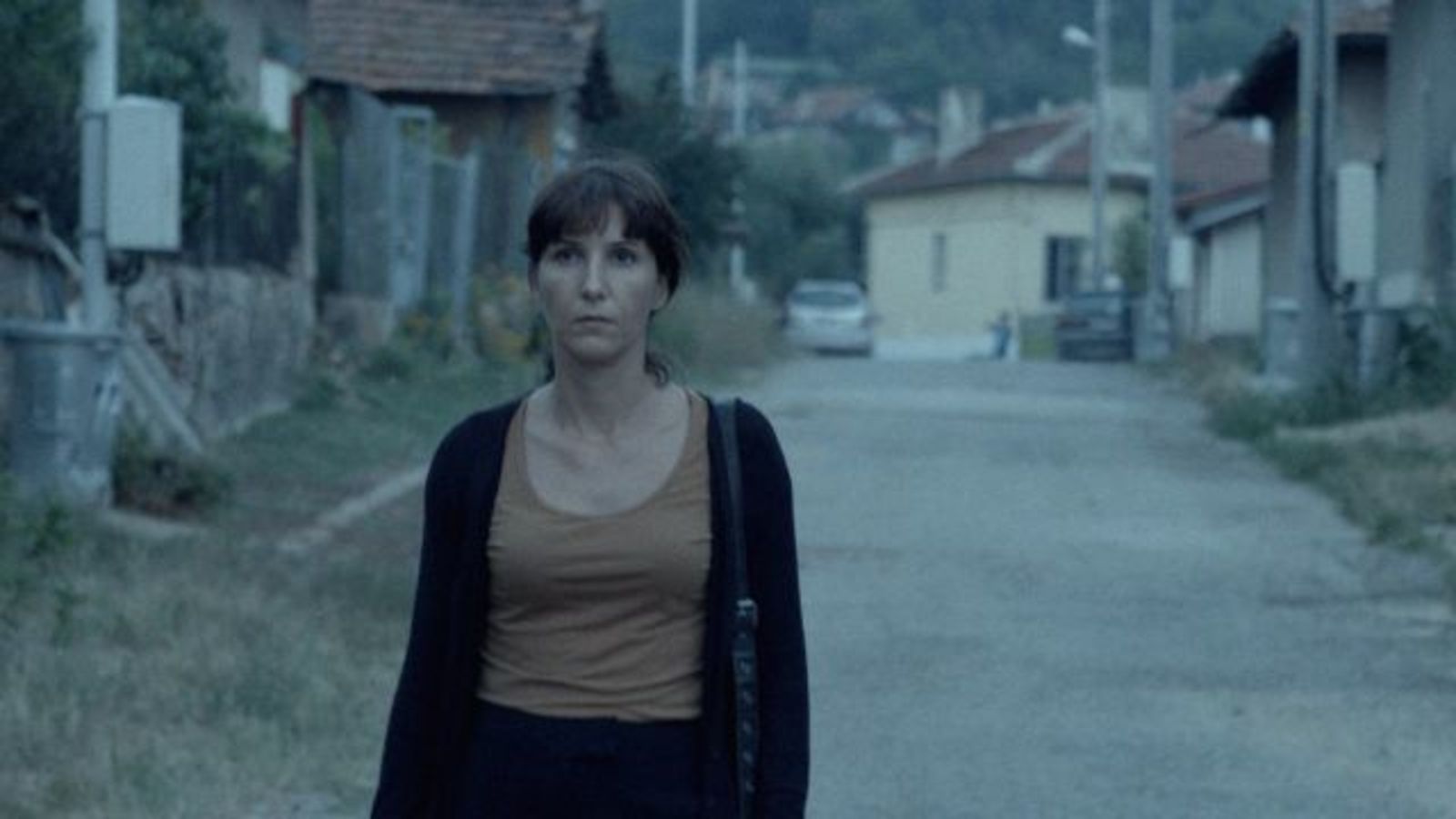 The Bulgarian Film "The Lesson" Was Given An Ingmar Bergman Award For Debut Work