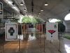 Откриване на изложбата „През очите на плаката: изкуство от Балканите“ в гр. Бразилия
