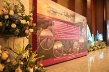 Presentation of Photo Exhibition "Fragrances from Bulgaria" by State Institute for Culture at the Jasmine Festival in China, November 28-30