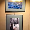 Откриване в Пловдив на фотографска изложба „Канада – позната и непозната“