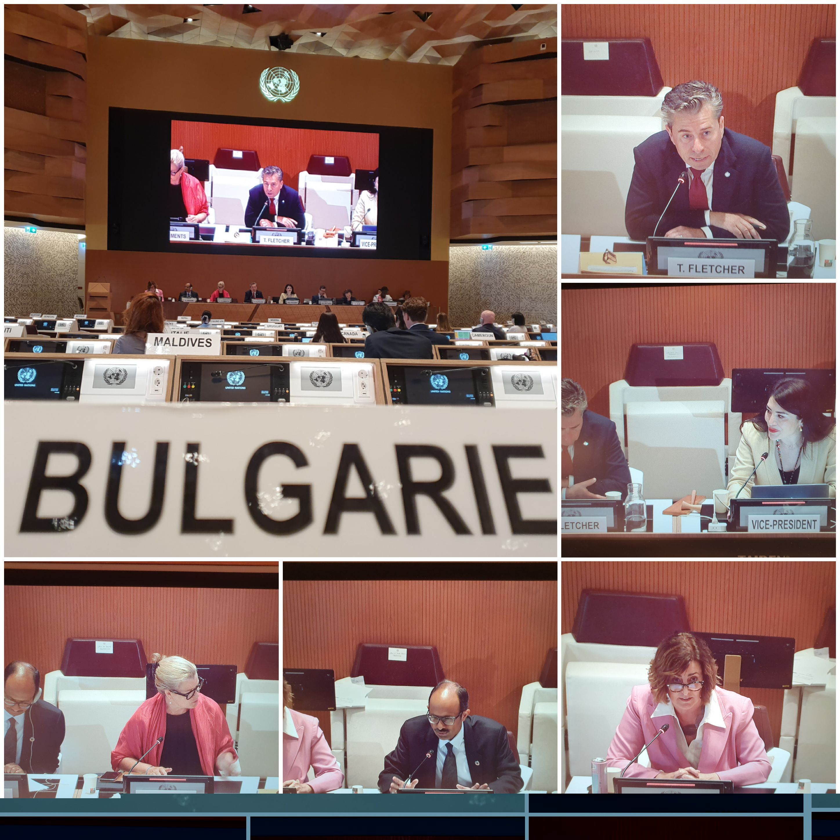 Bulgaria at the ECOSOC HAS 2025: We are at a pivotal moment for the future of humanity, stated Ambassador Yuri Sterk at the General debate of the event