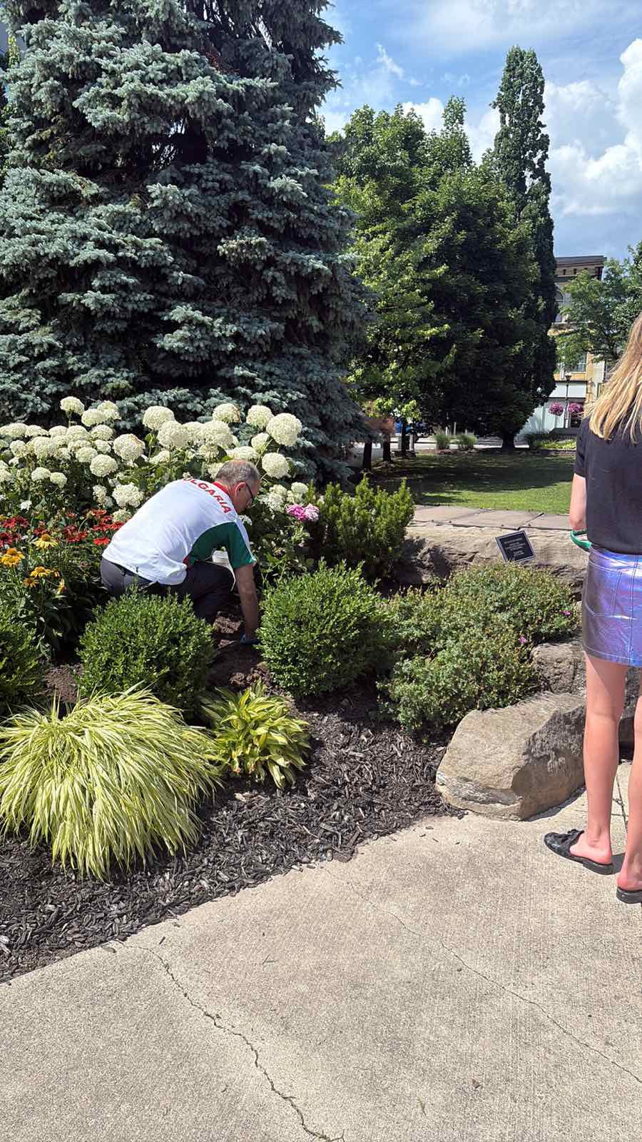 Bulgarian Roses Planted in Niagara Falls as a Symbol of Friendship and Cultural Connection