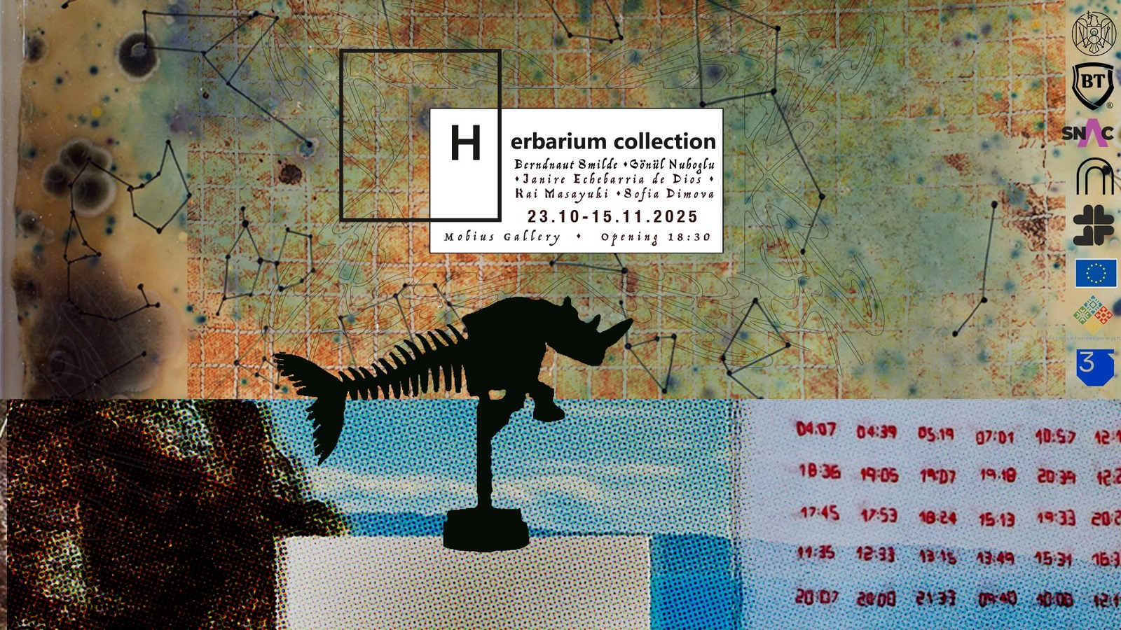 Presentation of the Herbarium Project at the National Salon of Contemporary Art in Bucharest