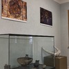 Opening of the exhibition “Bulgarian Monuments Under the Protection of UNESCO” at the International Francophone Festival Soleil in Sozopol