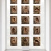 Bulgarian-Brazilian Exhibition "Beyond the Surface", Organised By "Amateras" Foundation