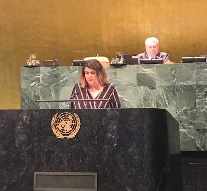 A commemorative meeting marked the 25th Anniversary of the International Conference on Population and Development in the United Nations General Assembly