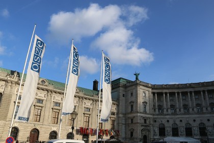 България предостави на ОССЕ годишния си доклад  по Кодекса на поведение в областта на политико-военните аспекти на сигурността