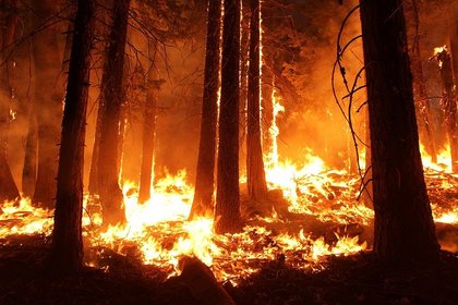 Пожар в окръг Ривърсайд, Южна Калифорния