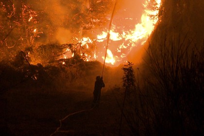 Информация относно актуалните огнища на пожари в Гърция към 11 август 2021 г.