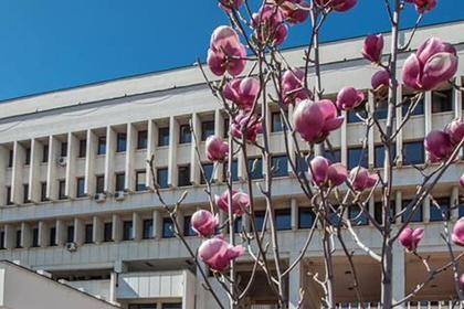 Изявление на МВнР