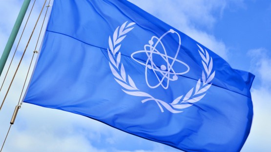 IAEA Director General Statement on the Situation in Ukraine