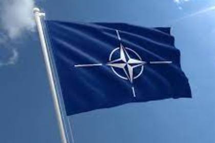 Изявление на говорителя на НАТО Оана Лунджеску
